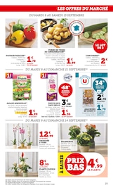Orchidée Angebote im Prospekt "U Express" von U Express auf Seite 25