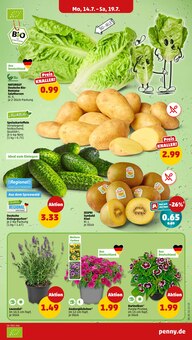 Blumen im Penny Prospekt "Wer günstig will, muss Penny." mit 36 Seiten (Erfurt)