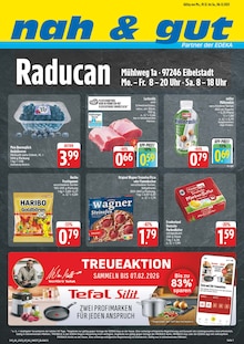 Aktueller nah und gut Prospekt "Wir lieben Lebensmittel!" Seite 1 von 8 Seiten für Eibelstadt
