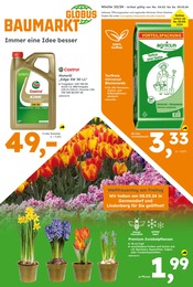 Blumenerde Angebot im aktuellen Globus-Baumarkt Prospekt auf Seite 1