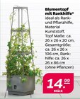 Aktuelles Blumentopf mit Rankhilfe Angebot bei Netto mit dem Scottie in Magdeburg ab 14,99 €
