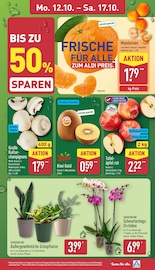 Aktueller ALDI Nord Prospekt mit Garten, "Aktuelle Angebote", Seite 3