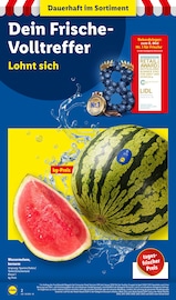 Obst im Lidl Prospekt in Rostock Aktueller Lidl Prospekt mit Obst, "LIDL LOHNT SICH", Seite 2