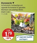 Blumenerde Angebote von AR Reiter bei V-Markt München für 1,79 €