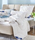 Aktuelle Bettdecke Angebote bei Höffner in Mönchengladbach Aktuelles Sommerdecke Kanada Angebot bei Höffner in Mönchengladbach ab 29,99 €