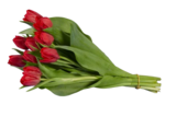 Bouquet de roses ou de tulipe dans le catalogue Lidl