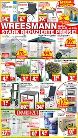 Aktueller Wreesmann Sonderposten Prospekt in Gräfenhainichen und Umgebung, "DEIN SAISON- & SONDERPOSTENMARKT!" mit 12 Seiten, 04.08.2025 - 09.08.2025