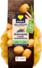 Knolles Markt - Speisefrühkartoffeln Angebot im Prospekt Speisefrühkartoffeln bei Knolles Markt im Prospekt "" für 2,99 €