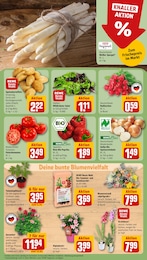 Gemüsepflanzen Angebot im aktuellen REWE Prospekt auf Seite 7