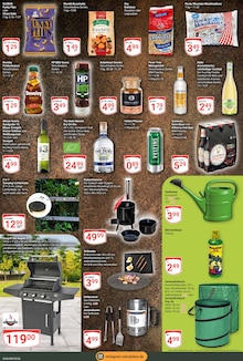 Veltins im GLOBUS Prospekt "Aktuelle Angebote" mit 21 Seiten (Castrop-Rauxel)