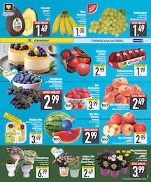 Aster Angebot im aktuellen EDEKA Prospekt auf Seite 7