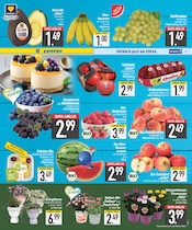 Ähnliche Rasenerde Angebote im Prospekt "DAS BESTE DER WOCHE" von EDEKA in Ingolstadt Ähnliche Angebote wie Rasenerde im Prospekt "DAS BESTE DER WOCHE" auf Seite 7 von EDEKA in Ingolstadt
