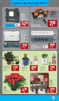 Promo Fleurs dans le catalogue Aldi du moment à la page 39