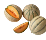 Melone im tegut Prospekt Bio-Cantaloupemelone im aktuellen tegut Prospekt für 3,99 €