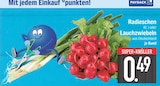 Radieschen Kl. I von  im aktuellen EDEKA Prospekt für 0,49 €