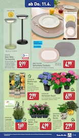 Hortensie Angebote im Prospekt "Aktuelle Angebote" von ALDI Nord Hortensie Angebote im Prospekt "Aktuelle Angebote" von ALDI Nord auf Seite 27