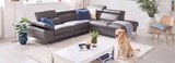 Aktuelle Couch Angebote bei hofmeister in Reutlingen Aktuelles Ecksofa Angebot bei hofmeister in Reutlingen ab 1.998,00 €