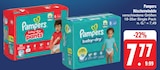 baby-dry pants im Angebot bei E center in Ansbach baby-dry pants Angebote von Pampers bei E center Ansbach für 7,77 €