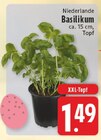 EDEKA - Basilikum Angebot im Prospekt Basilikum bei EDEKA im Prospekt "" für 1,49 €