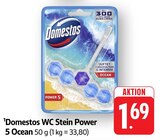 WC Stein Power 5 Ocean im Angebot bei E center in Frankenthal WC Stein Power 5 Ocean Angebote von Domestos bei E center Frankenthal für 1,69 €