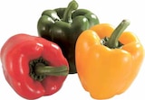 Paprika-Mix Angebote von Gut & Günstig bei E center Dachau für 1,77 €
