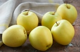 Pomme Golden FILIÈRE QUALITÉ CARREFOUR dans le catalogue Carrefour