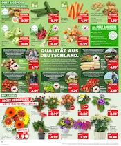 Aktueller Kaufland Prospekt mit Erdbeeren, "Aktuelle Angebote", Seite 10