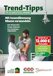 Danhauser Prospekt "Trend-Tipps für die energetische Sanierung" für Heinersreuth, 12 Seiten, 17.10.2025 - 26.10.2025 Danhauser Prospekt "Trend-Tipps für die energetische Sanierung" für Heinersreuth, 12 Seiten, 17.10.2025 - 26.10.2025