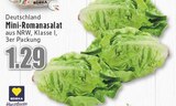EDEKA Meckenheim - Mini-Romanasalat Angebot im Prospekt Mini-Romanasalat bei EDEKA im Meckenheim Prospekt für 1,29 €
