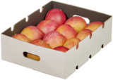 Flugmango im Angebot bei METRO in Nürtingen Flugmango Angebote bei METRO Nürtingen für 4,42 €