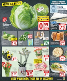 EDEKA Fisch im Prospekt 