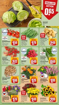 Tomaten im aktuellen REWE Prospekt (Fürth) Tomaten im REWE Prospekt "Dein Markt" mit 16 Seiten (Fürth)