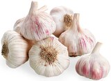 Knoblauch im REWE Prospekt Knoblauch von REWE Bio im aktuellen REWE Prospekt für 0,88 €