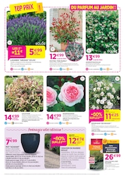 Offre Rosier dans le catalogue Delbard du moment à la page 4