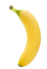 Bio Bananen Angebote von EDEKA WWF bei E center Frankenthal für 1,69 €
