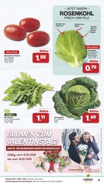 Aktueller famila Nordwest Prospekt mit Bio, "Markt - Angebote", Seite 5