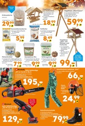 Aktueller Globus-Baumarkt Prospekt mit Schuhe, "Immer eine Idee besser", Seite 9