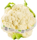Aktuelle Gemüse Angebote bei REWE in Darmstadt Aktuelles Bio Blumenkohl Angebot bei REWE in Darmstadt ab 2,49 €