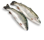 Forelle Angebote von Pro Trace bei METRO Norderstedt für 9,08 €