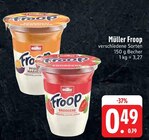 Froop Erdbeere bei E center im Crimmitschau Prospekt für 0,49 €