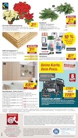 Zimmerpflanzen im toom Baumarkt Prospekt in Duisburg Aktueller toom Baumarkt Prospekt mit Zimmerpflanzen, "Respekt, wer's selber macht.", Seite 20