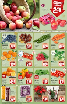 Tomaten im REWE Prospekt "Dein Markt" mit 36 Seiten (Nürnberg)