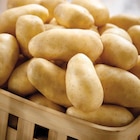 Promo Pommes de terre de consommation à 1,59 € dans le catalogue Intermarché Super à Gamaches