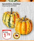 Speisekürbisse „Chamäleon“ im Angebot bei GLOBUS in St. Ingbert Speisekürbisse „Chamäleon“ Angebote bei GLOBUS St. Ingbert für 1,79 €