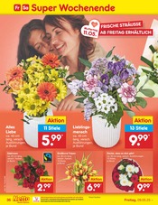 Tulpen im Netto Marken-Discount Prospekt in Amberg Aktueller Netto Marken-Discount Prospekt mit Tulpen, "Aktuelle Angebote", Seite 62