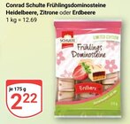 Frühlingsdomino Heidelbeere Angebote von Conrad Schulte bei GLOBUS Crimmitschau für 2,22 €