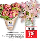 Gartenhortensien im Angebot bei Marktkauf in Neu-Ulm Gartenhortensien Angebote von EDEKA Herzstücke bei Marktkauf Neu-Ulm für 7,99 €