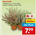 Besenheide im Netto Marken-Discount Prospekt Besenheide von im aktuellen Netto Marken-Discount Prospekt für 7,99 €