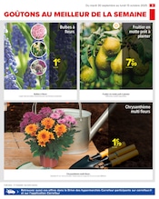 Chrysanthèmes Angebote im Prospekt "PRÉPAREZ L’AUTOMNE : JARDIN - BRICOLAGE" von Carrefour auf Seite 5