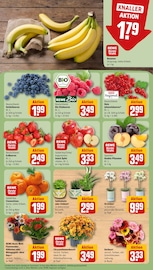 Ähnliche Blumenzwiebeln Angebote im Prospekt "Dein Markt" von REWE in Erlangen Ähnliche Angebote wie Blumenzwiebeln im Prospekt "Dein Markt" auf Seite 9 von REWE in Erlangen